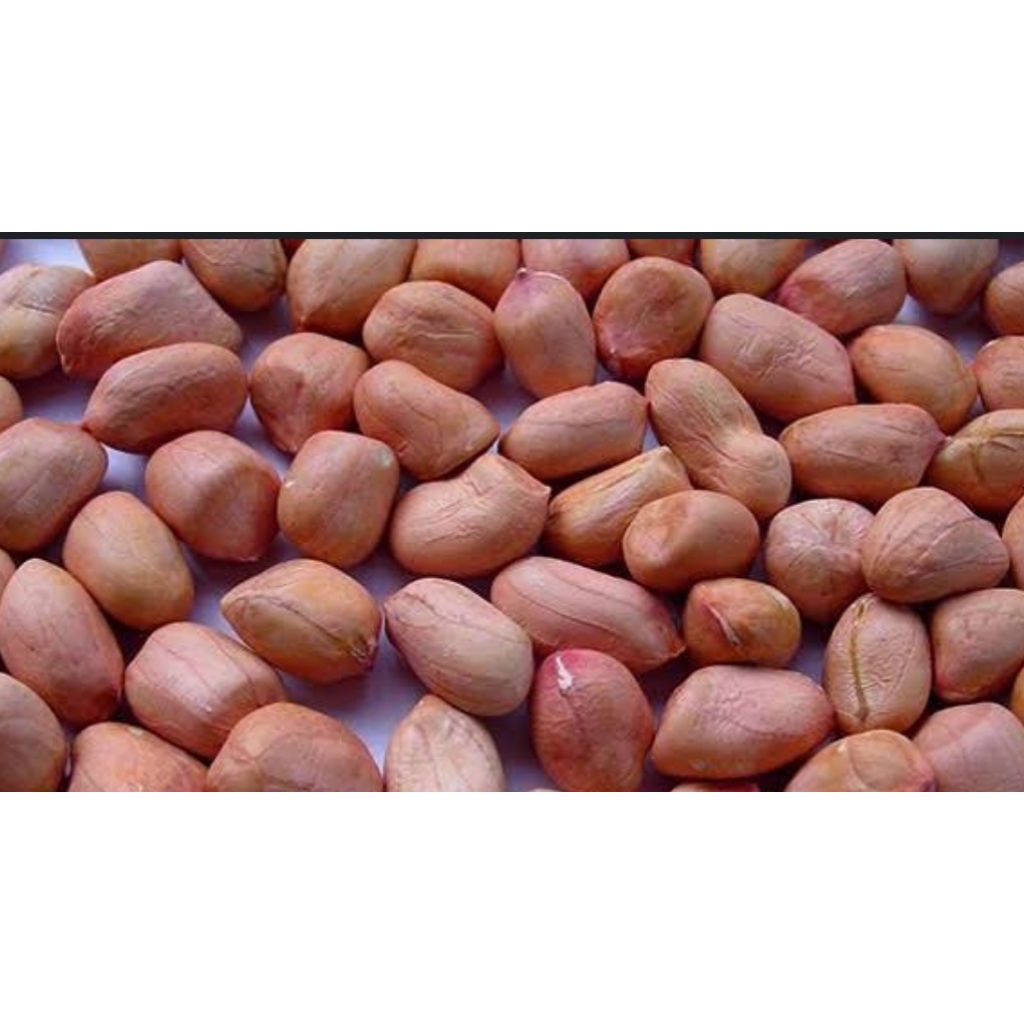 

kacang tanah 250gr
