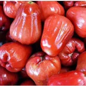 

JAMBU AIR 500gram