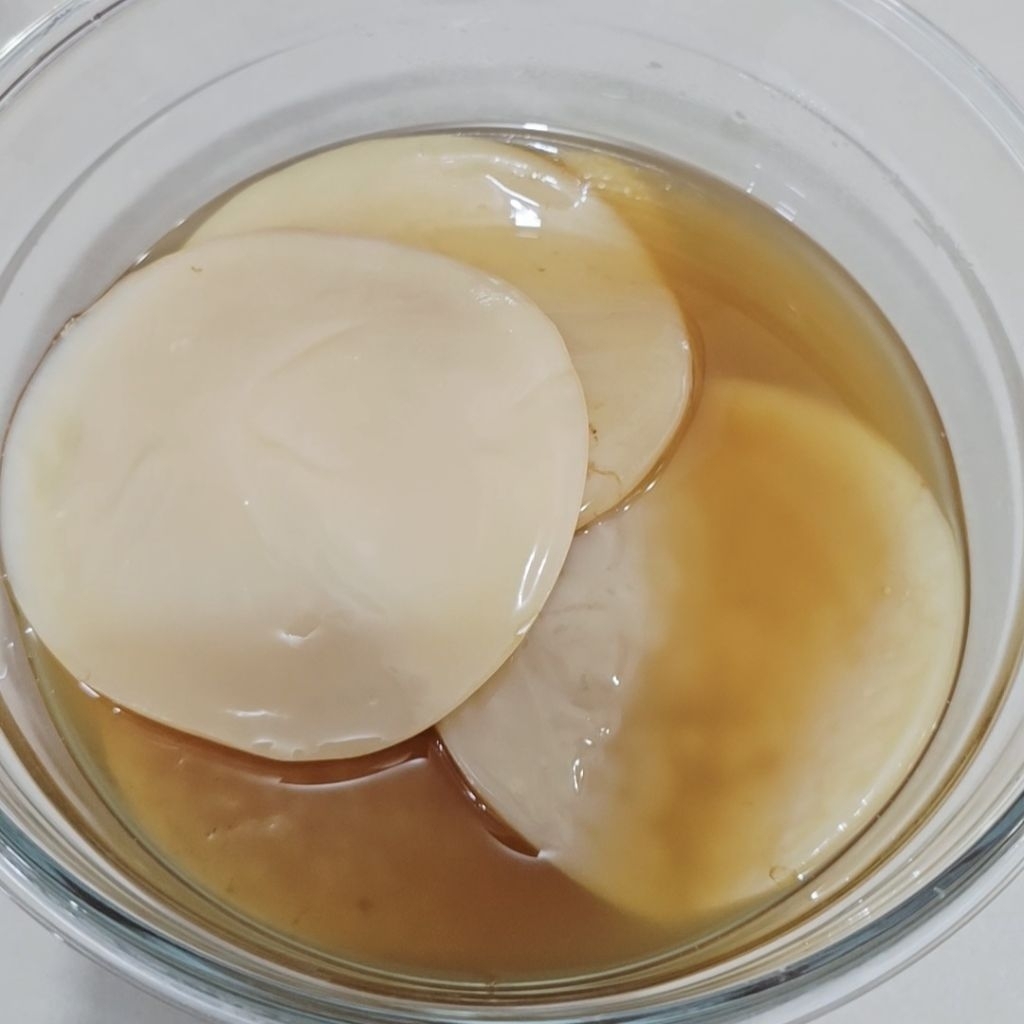 

Bibit scoby kombucha - starter fermentasi kombucha