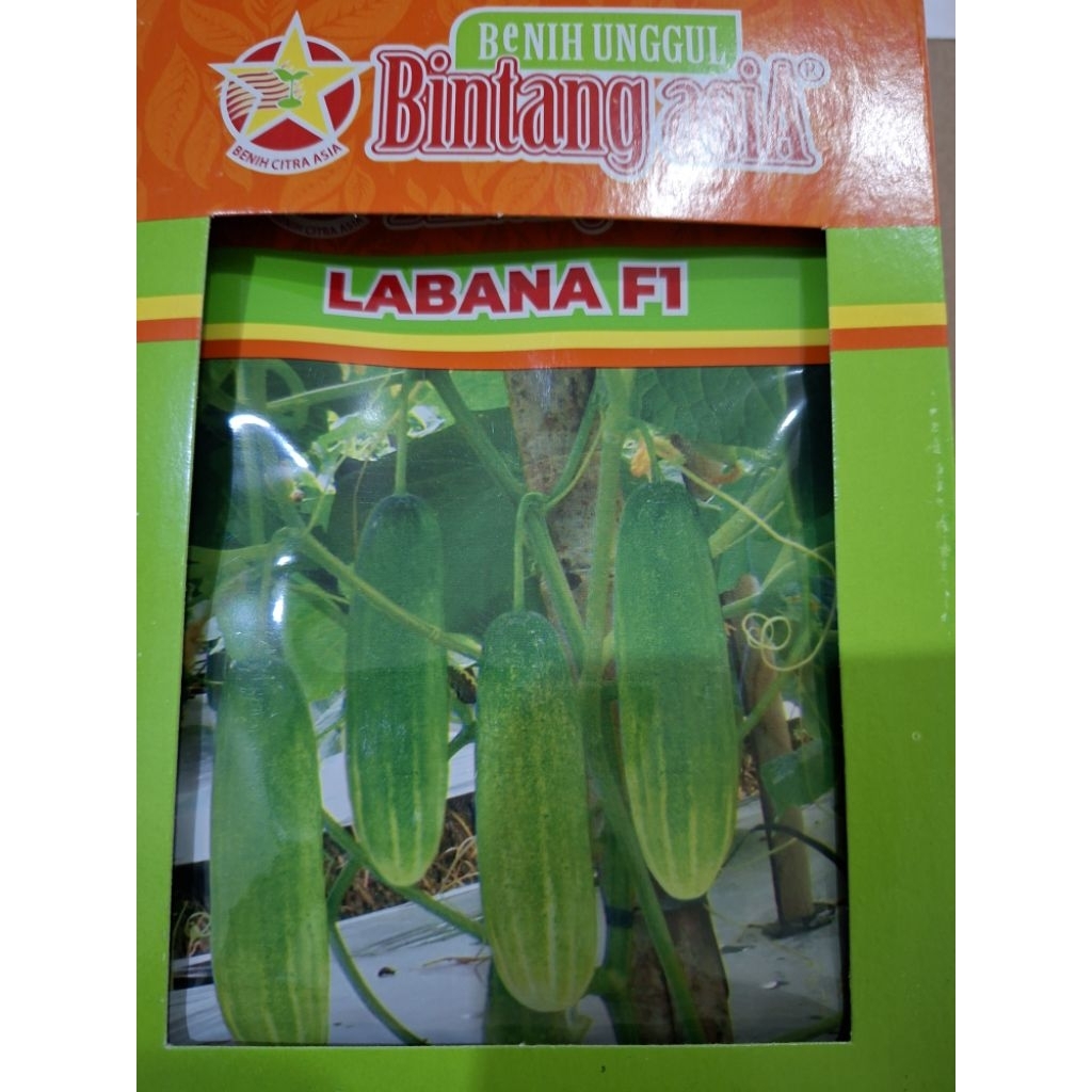 

Mentimun Lalap LABANA F1 (Original) 20gr