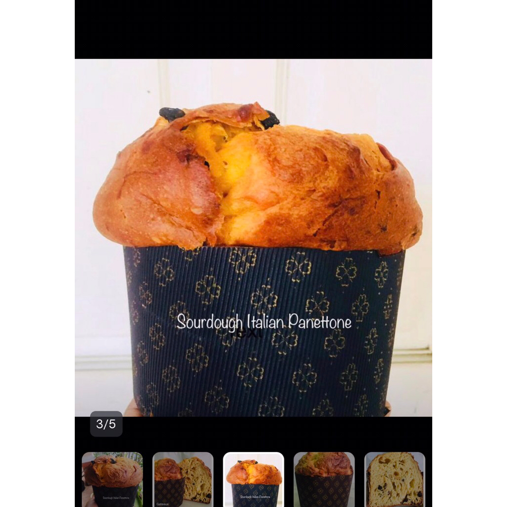 

Sourdough Italian Panettone ( big size )