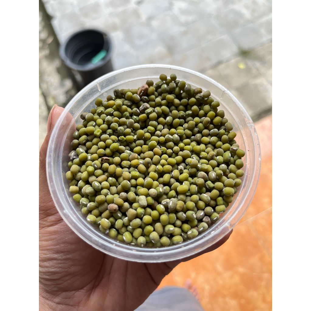 

Kacang Hijau Organik 1kg | Cocok untuk Bubur & Kecambah