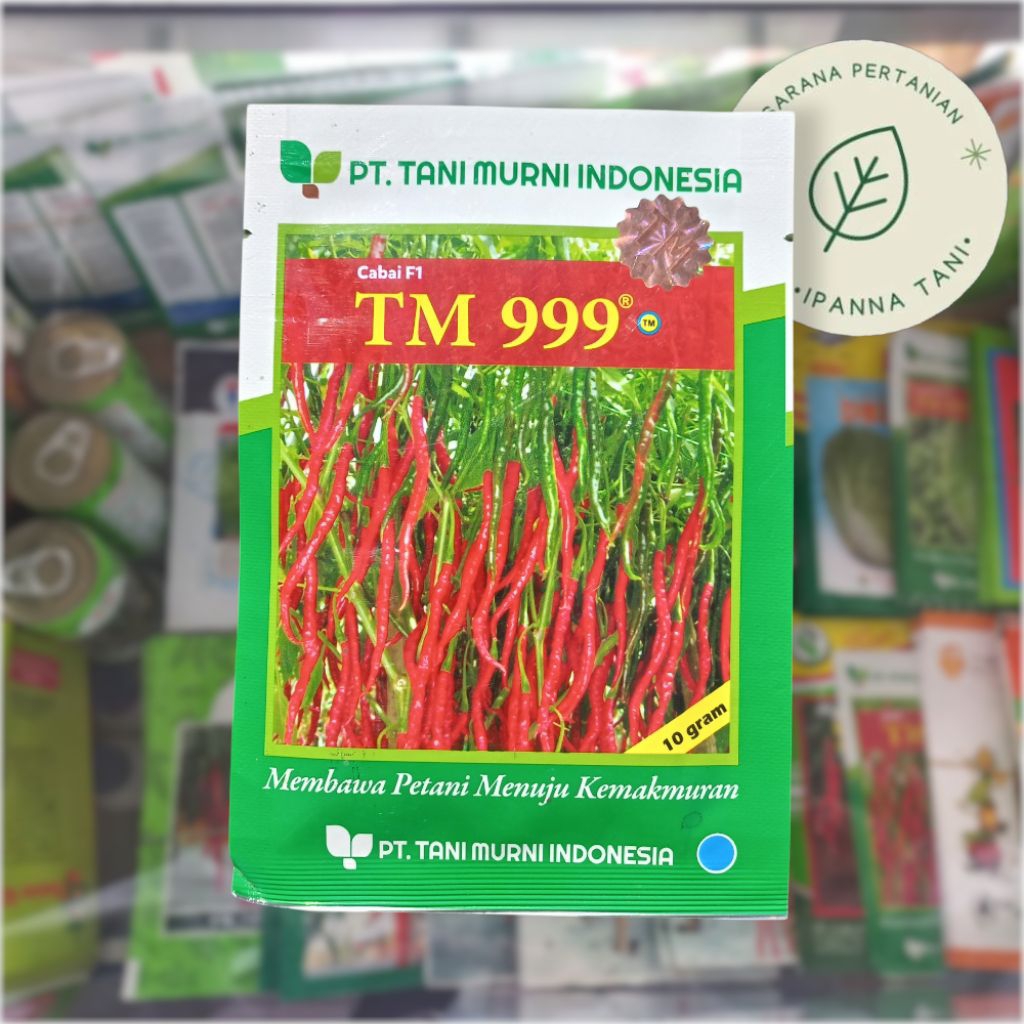 TM 999 10GR – BENIH CABAI KERITING F1 | BIBIT CABAI KERITING | BIBIT SAYURAN CABAI
