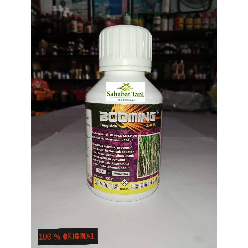 booming 250 EC 100 ml