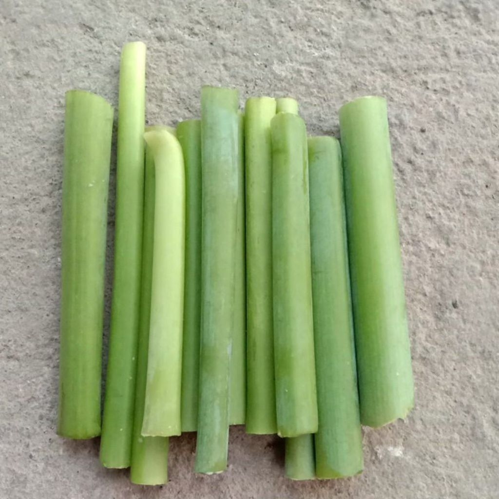 

Sayur lompong segar perkilo
