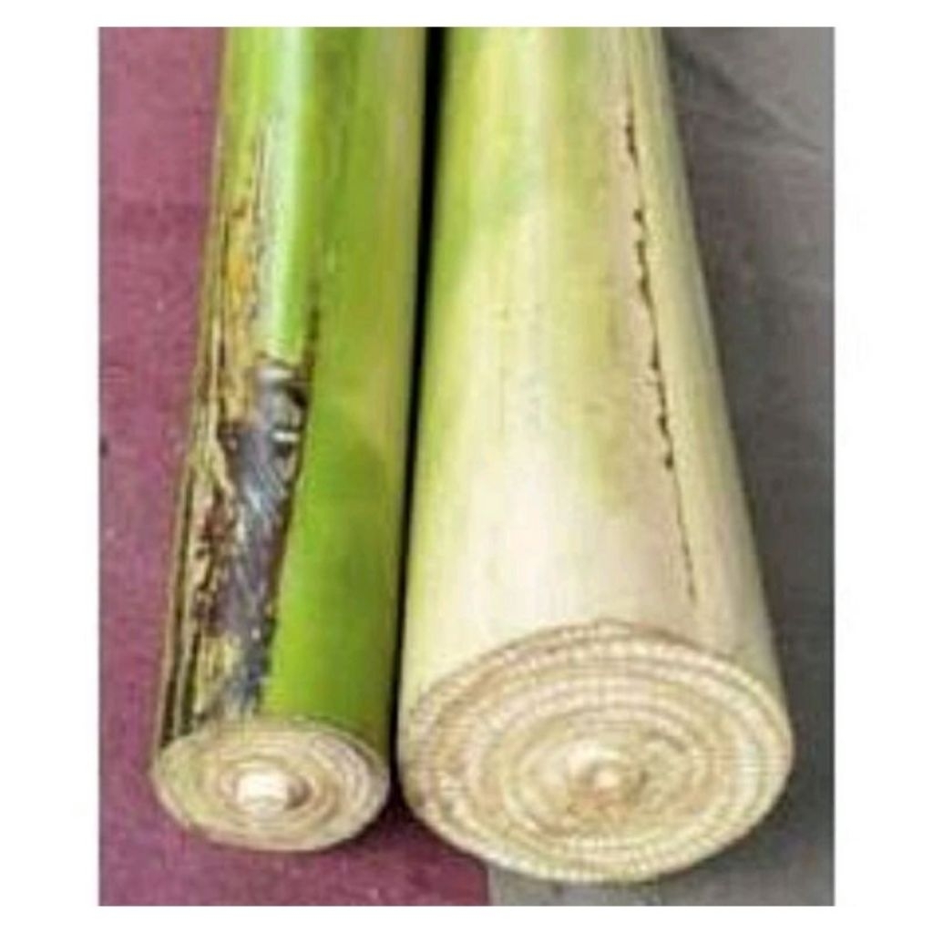 

promo murah gedebok batang pisang 1 kg