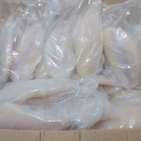 

Daging Ikan Dori Fillet isi 3 Original Premium Enak Lezat Maknyus Bintang lima tanpa pengawet no msg no vetsin