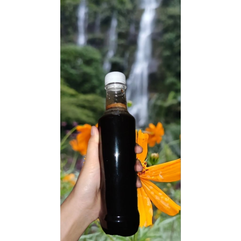 

madu lebah asli dan murni