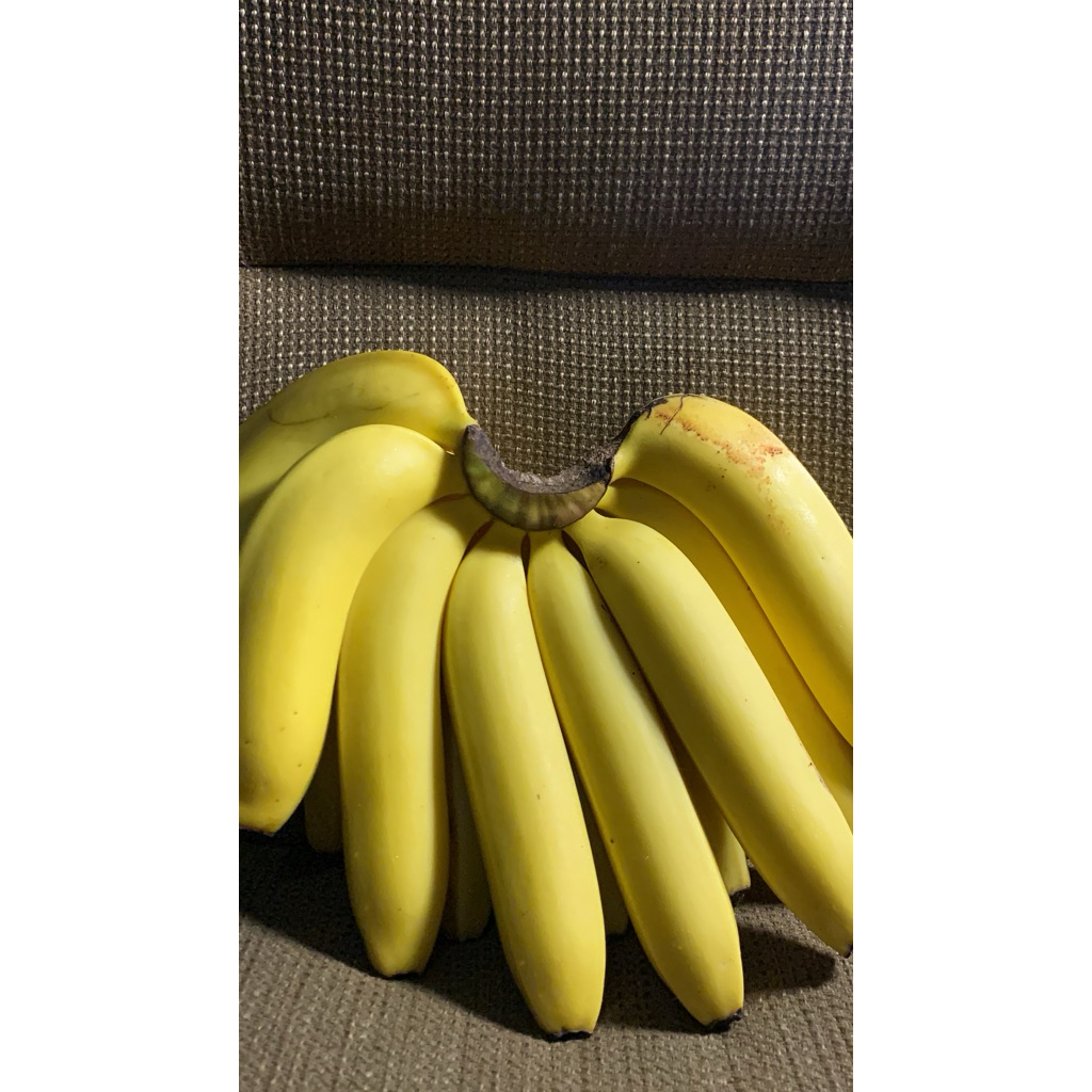 

pisang sunpride 1kg 15.000 saja