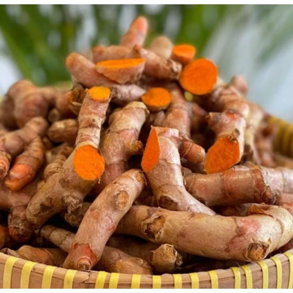 

kunyit emprit/kunir kunyit bumbu masak asli organi/isi 1kg redii siap kirim