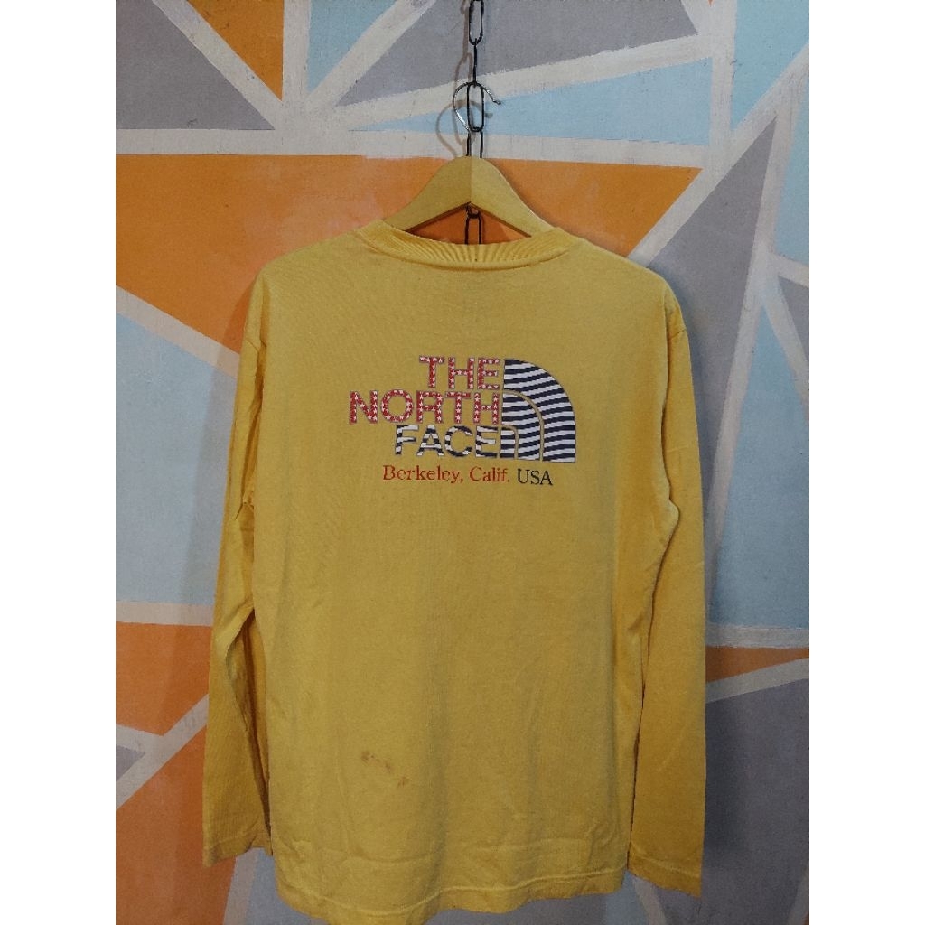 LONGSLEEVE THE NORTH FACE SECOND
