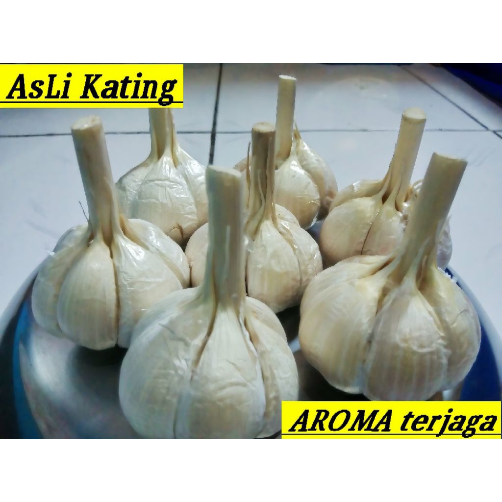 

Bawang Putih Kating Bonggol Bersih Utuh 500gr AROMA Terjaga