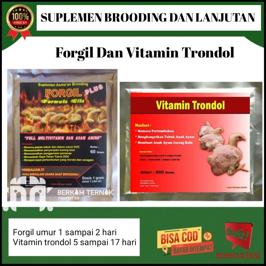 forgil suplemen brooding - vitamin trondol - vitamin ayam broiler