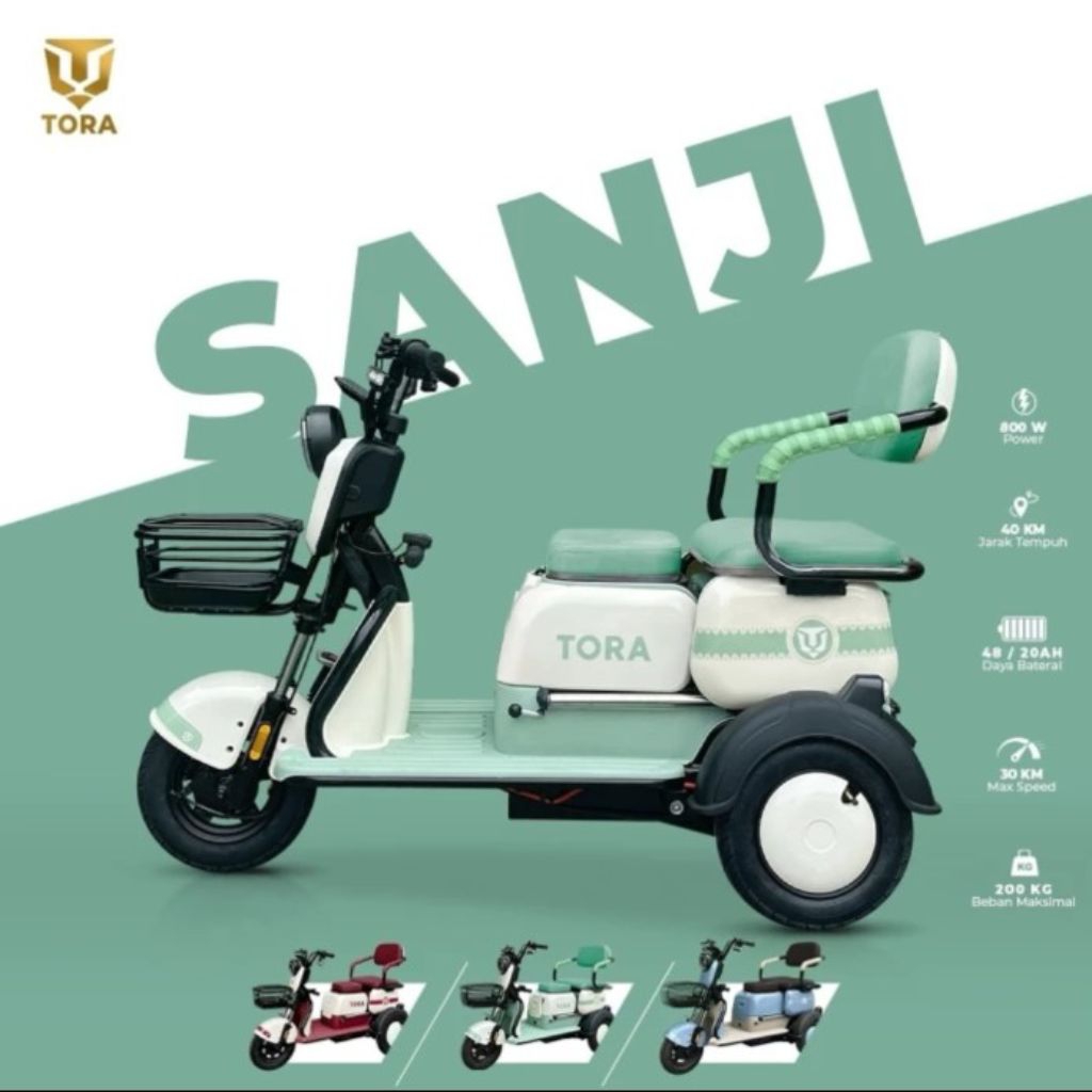 MOTOR LISTRIK 3 RODA TORA SANJI 800 DINAMO Watt