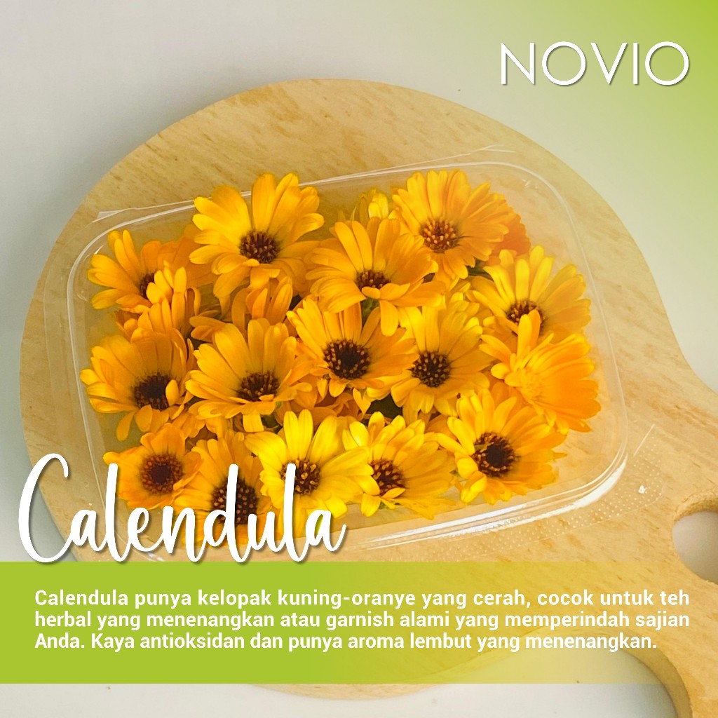 

Bunga calendula fresh / edible flower / calendula / fresh