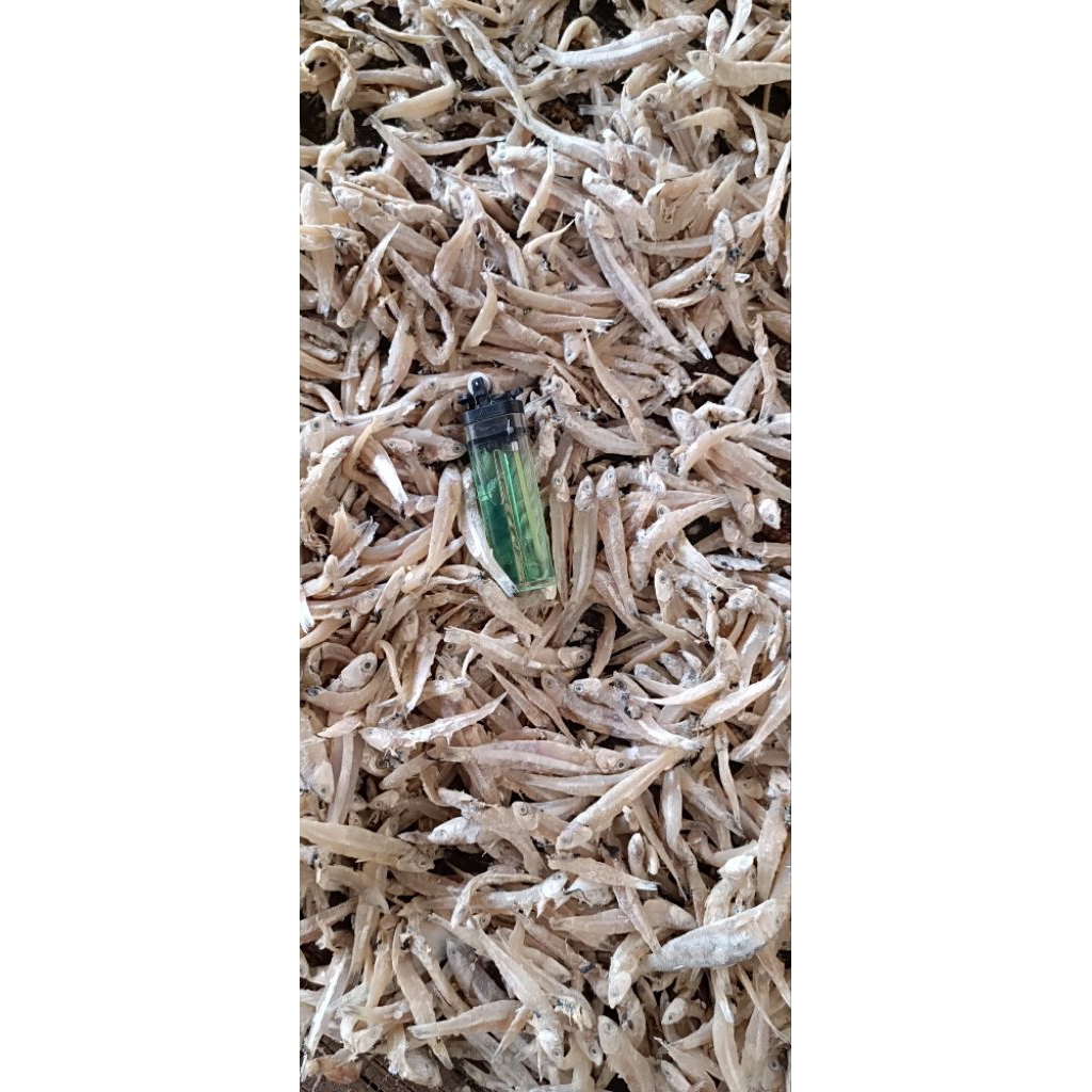 

ikan asin teri jengki super kering murah