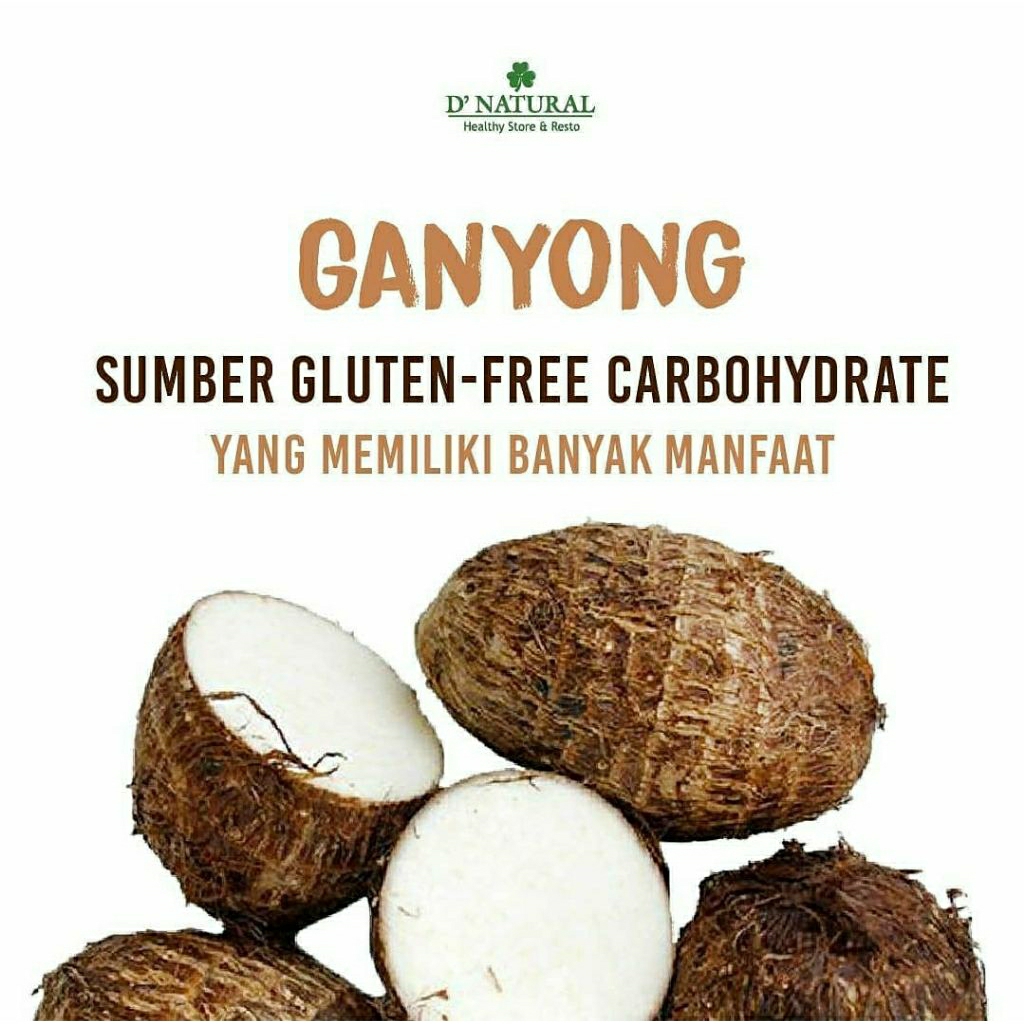 

Talas Ganyong l Talas Gayol 1 kg l Jbp_Fresh