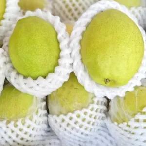 

pear Xiang lie 500g