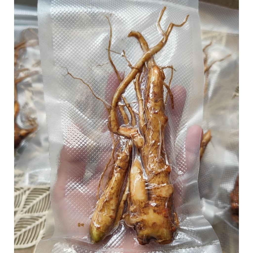 

GINSENG MERAH ORIGINAL| KUALITAS JOSS