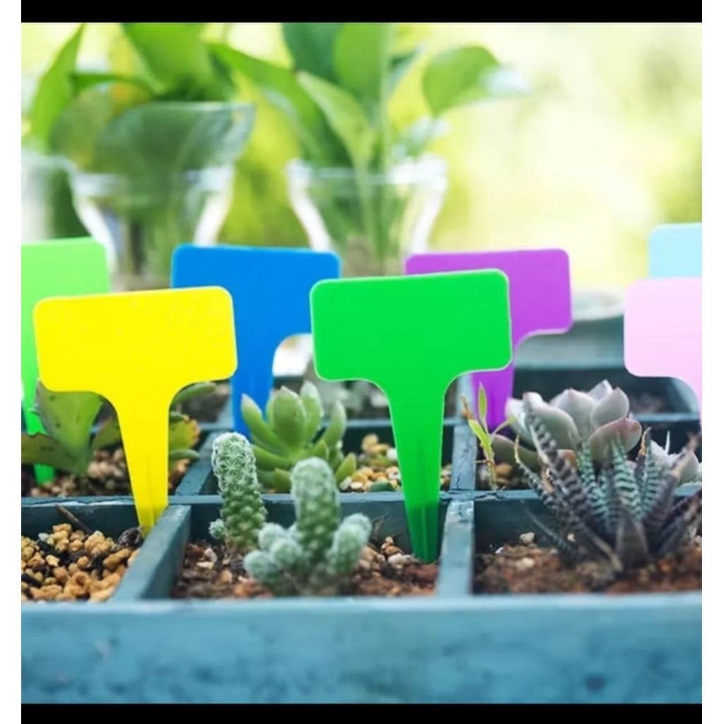 Label Nametag Tanaman Hias Ukuran Besar Bentuk T