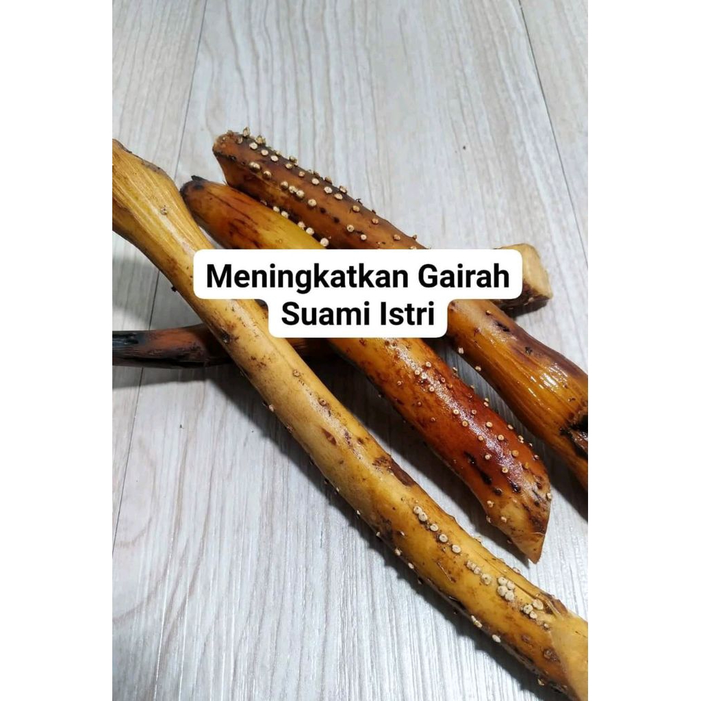 

Akar pinang/akar jambe fresh bersih tanpa tanah