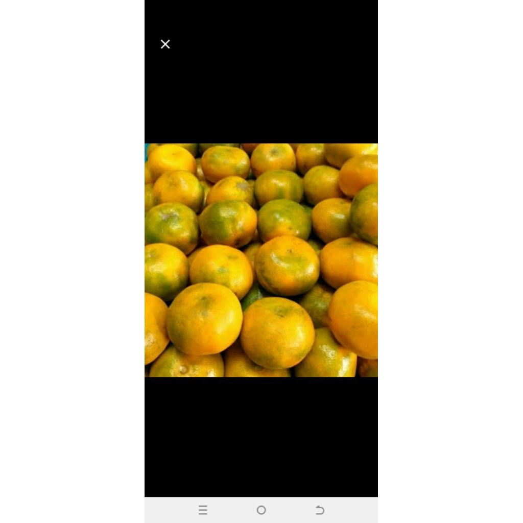 

jeruk medan 1 kg...