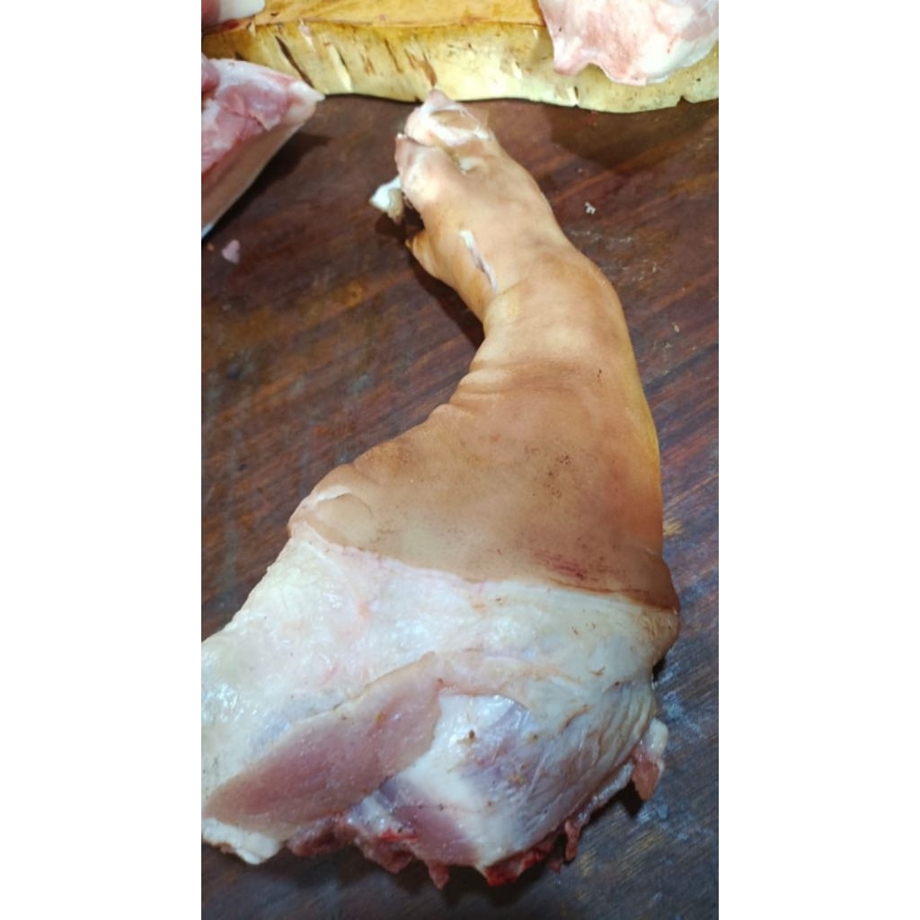 

Paha babi harga per kg fresh min 2 kg perbuah