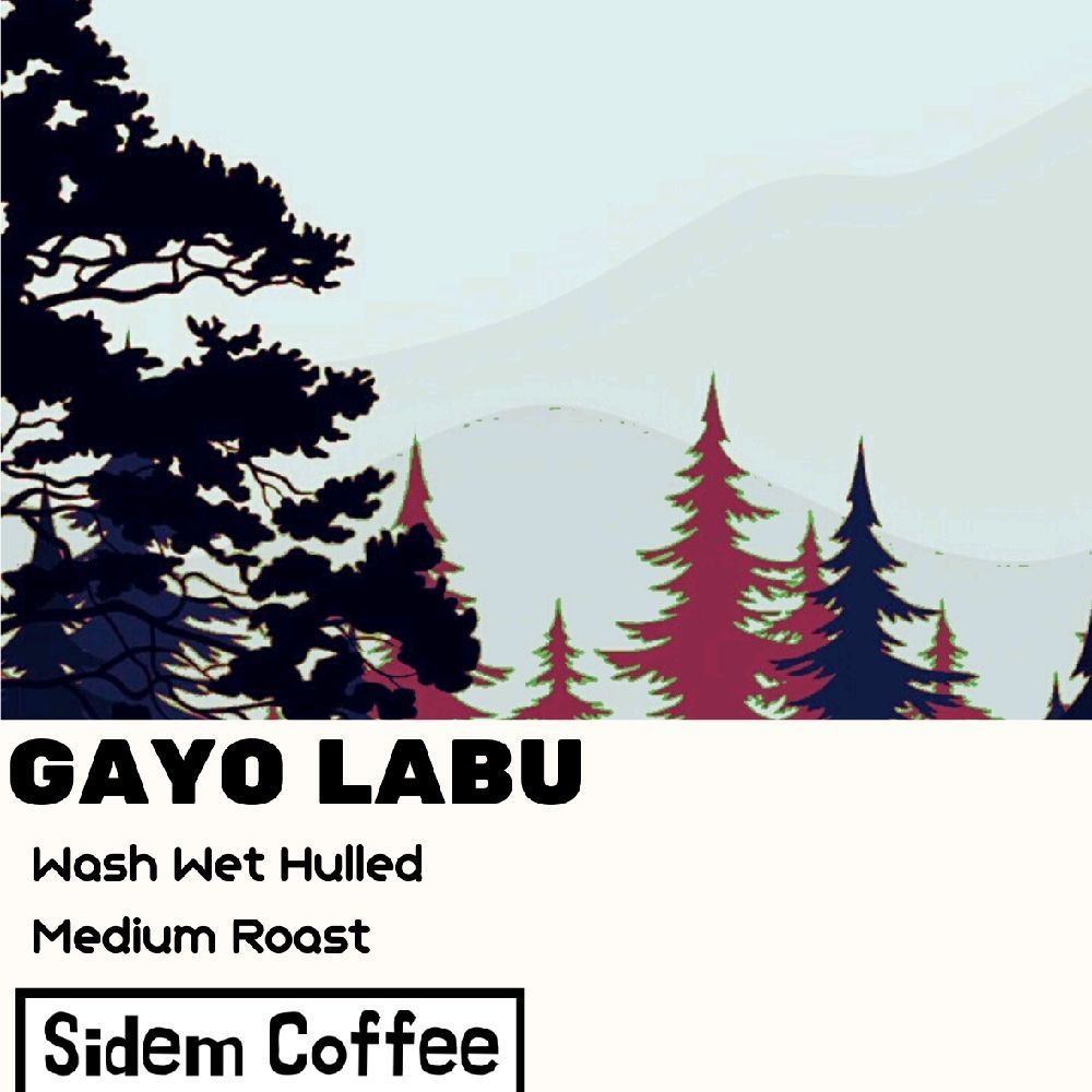 

Kopi Gayo Arabika Labu 200g/500g/1kg /Sidem Coffee kopi original gayo asli Espresso