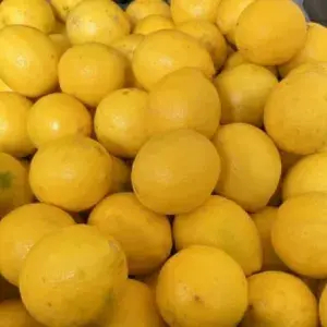 

lemon California 500g