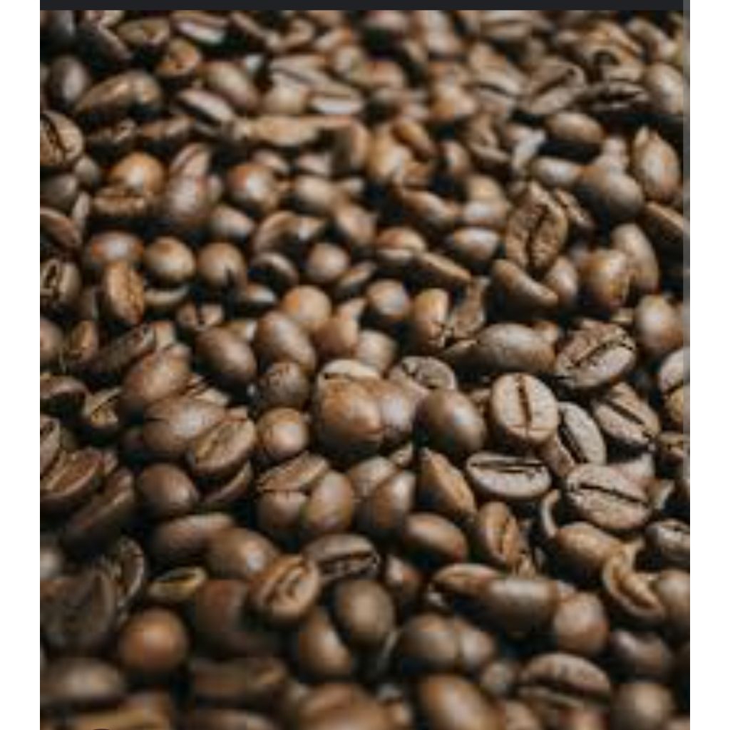 

Fine robusta pagar alam