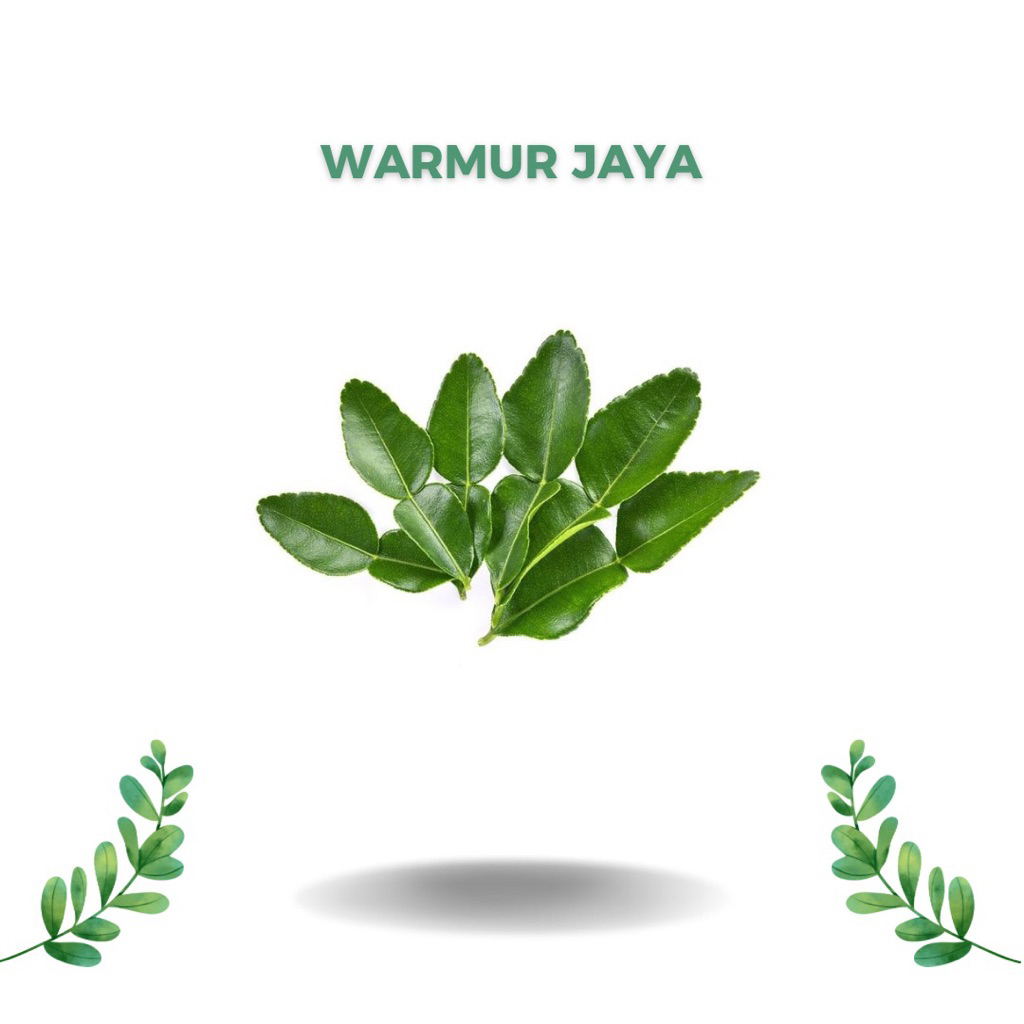

Daun jeruk masak 50 gr paket murah