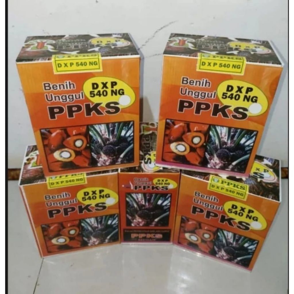 Benih biji  kecambah sawit unggul bersertifikt