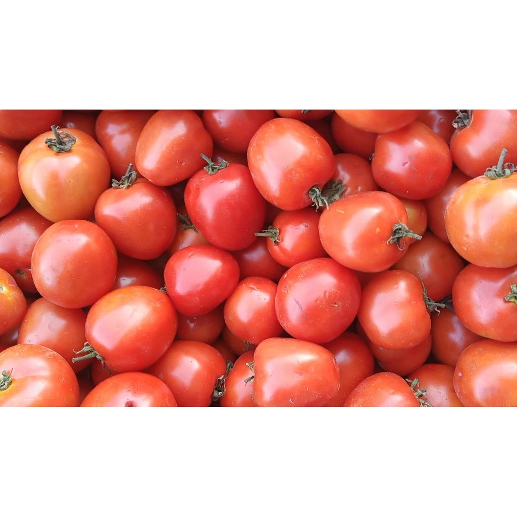 

tomat 500gr/1kg