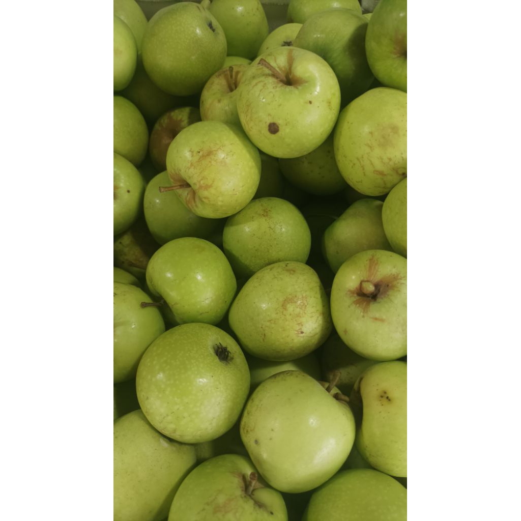 

Apel Hijau 1KG
