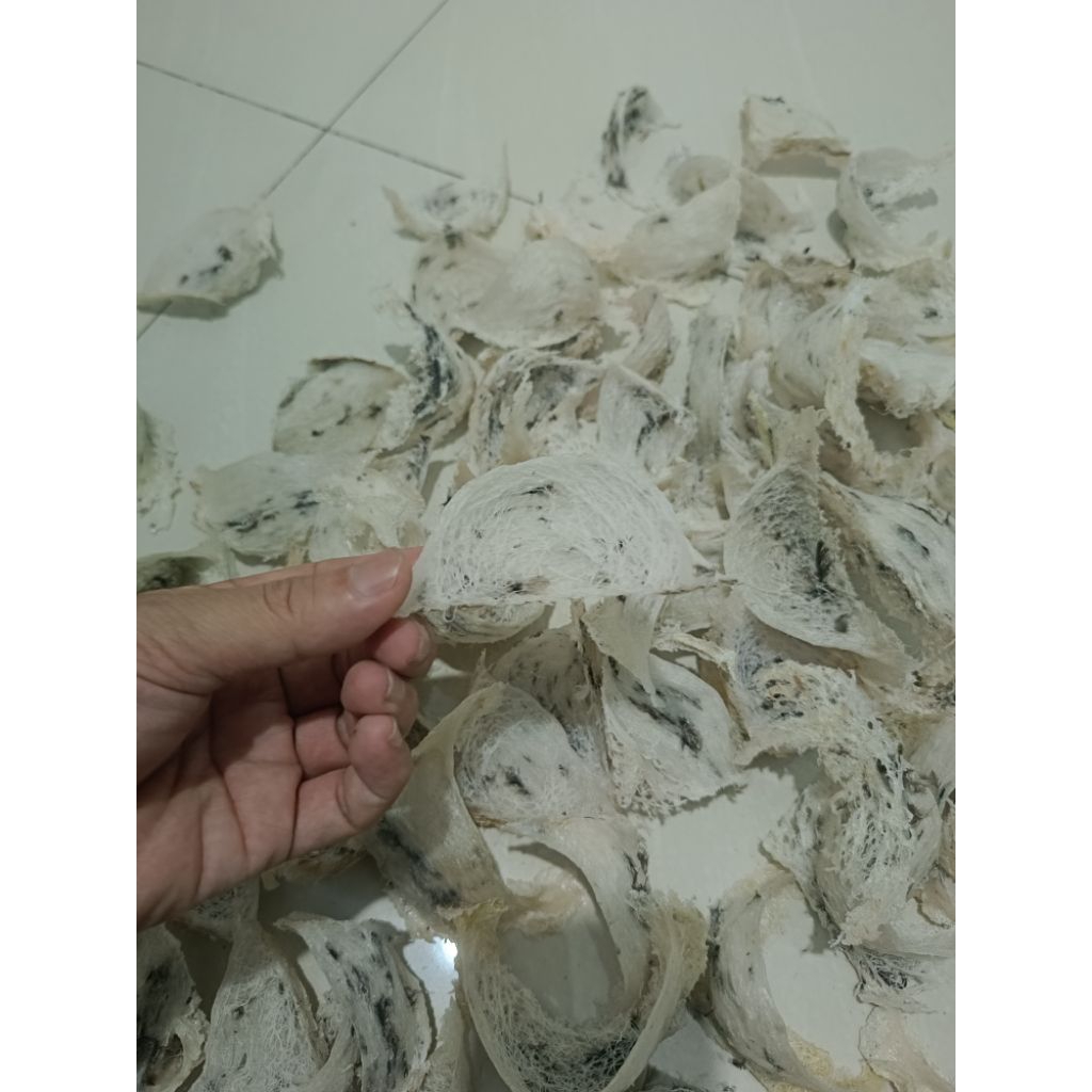 

sarang burung walet kotor 10gram