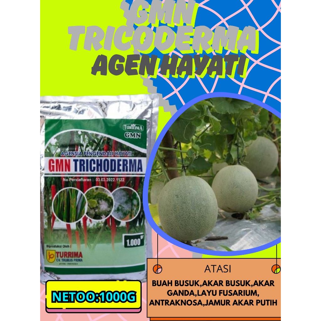 TERLARIS  Trichoderma Erinaceum, Trichoderma Cacao Isi 1kg