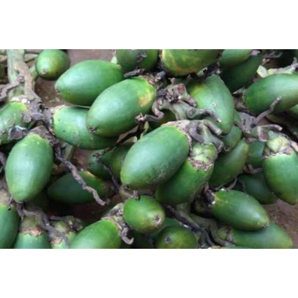 

buah pinang muda/jame muda per 500 gram