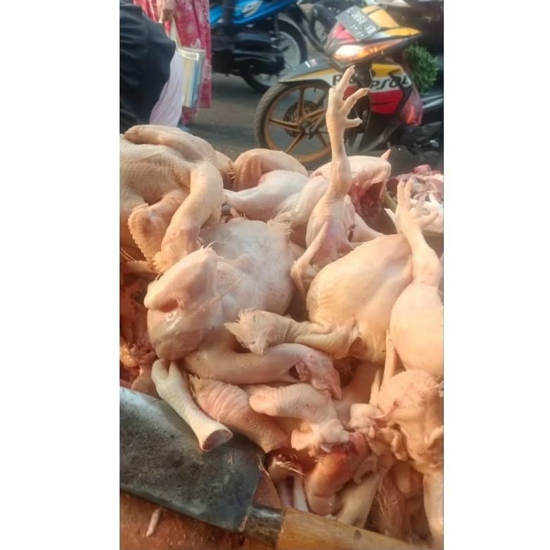

AYAM POTONG FRESH PAHA DADA