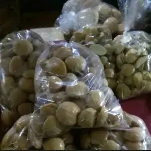 

JENGKOL REBUS 500 GRAM