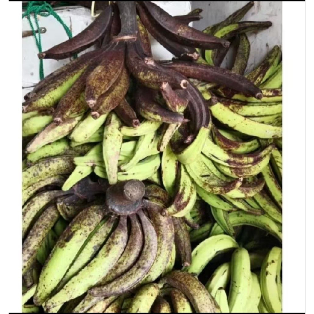 

Pisang tanduk pisang janeng 1kg