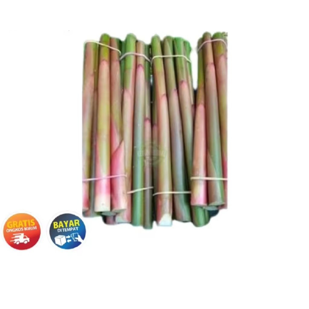

1 kg batang honje segar herbal