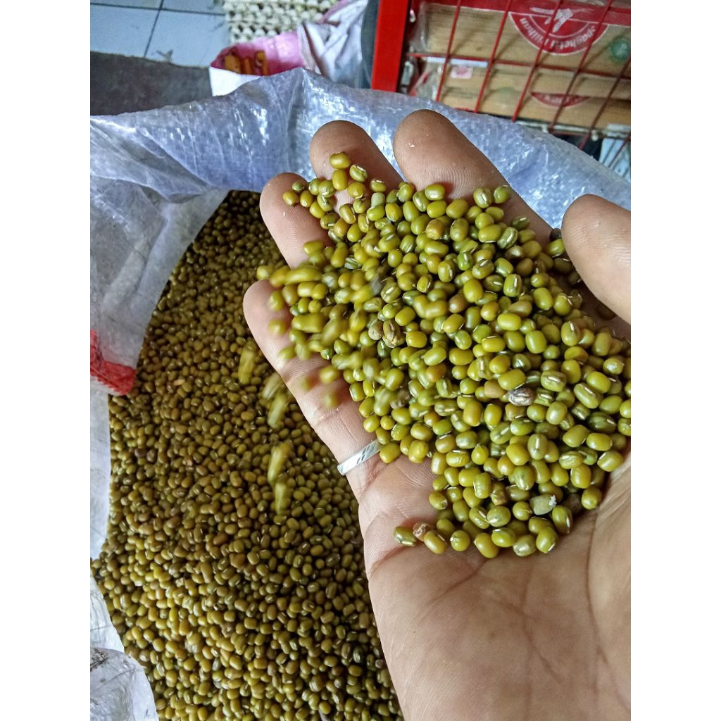 

kacang ijo lokal super kemasan 1kg makanan perpitaminn