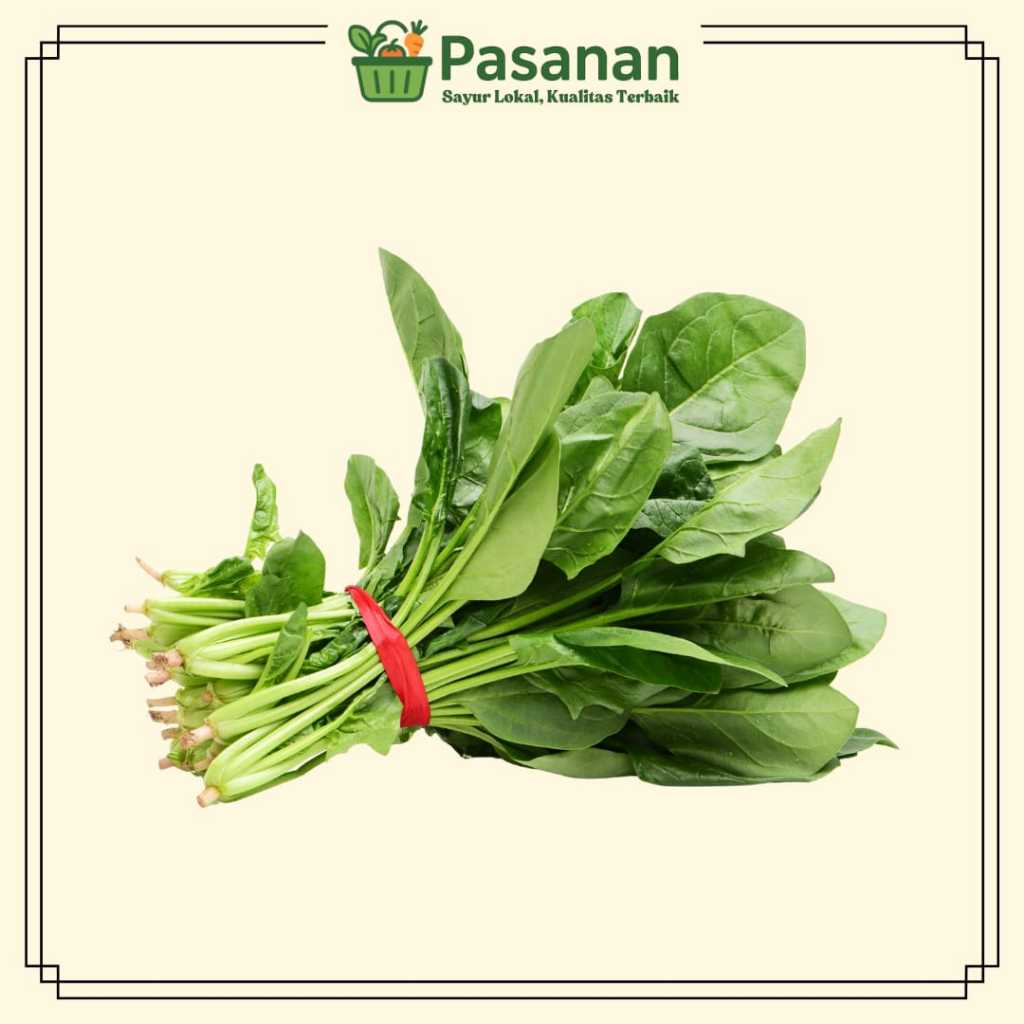 

Bayam Segar Bersih Siap Masak untuk Sayur Bening - Pasanan