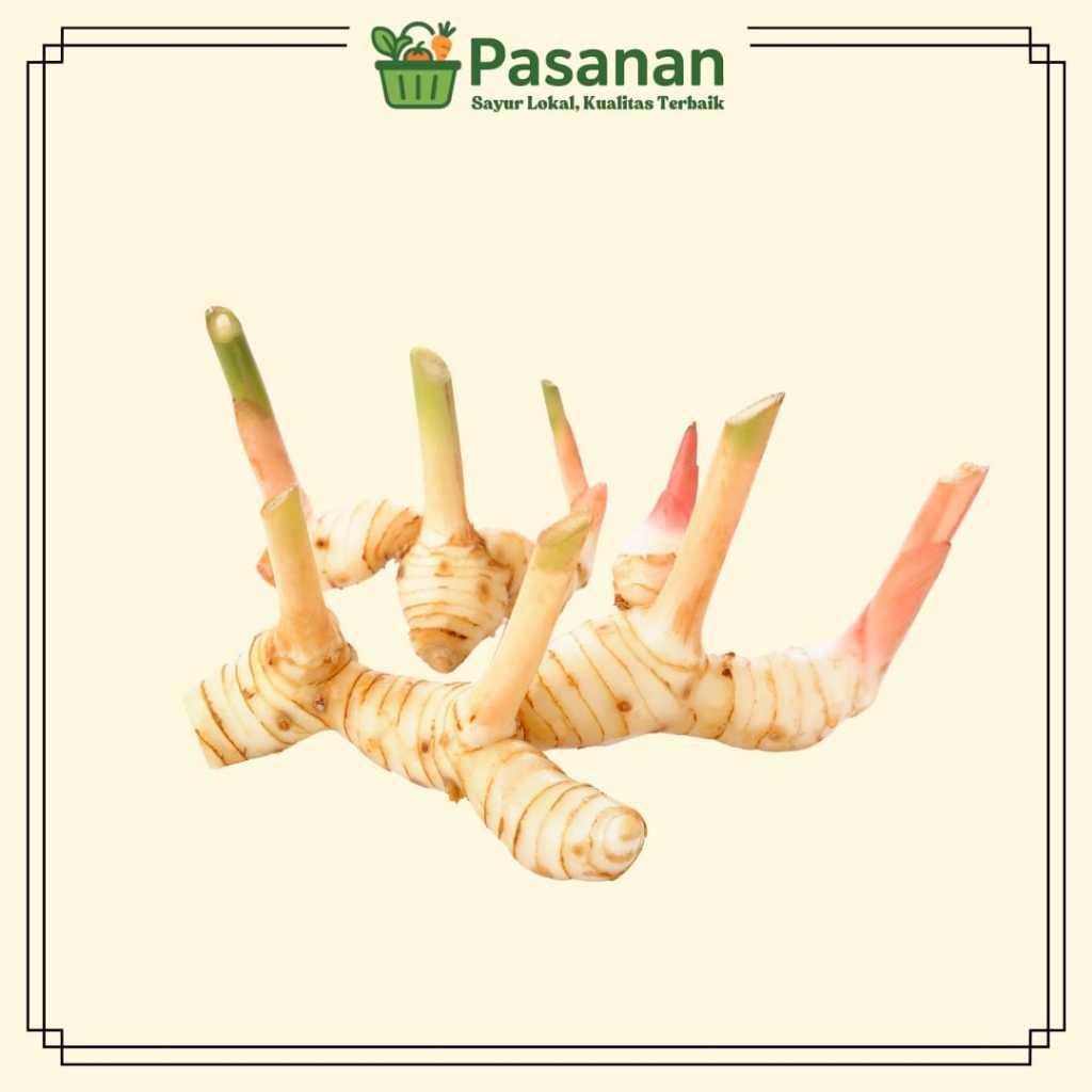 

Lengkuas Segar 250g/1kg Pelengkap Masakan - Pasanan