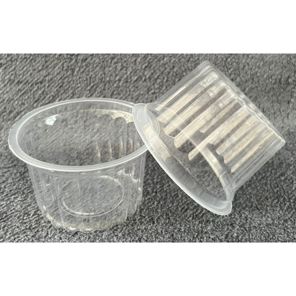 Gelas Plastik Bening 70 ml | Cup Jelly | Puding Belimbing