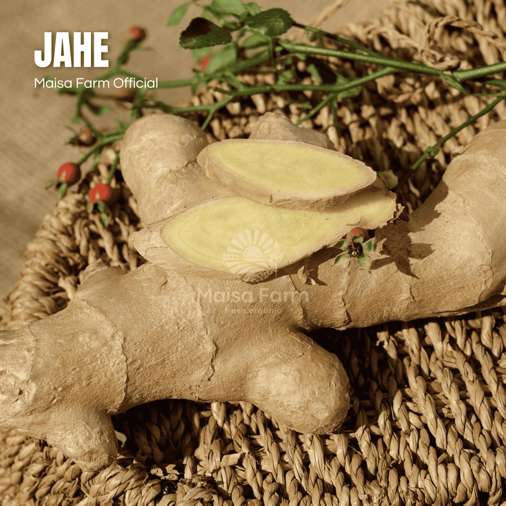 

Maisa Farm - Jahe Segar 250 gram