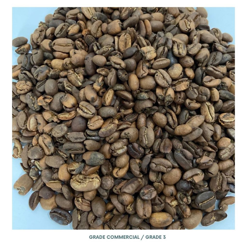 

p4yu Arabica Single Orin / Ciwidey