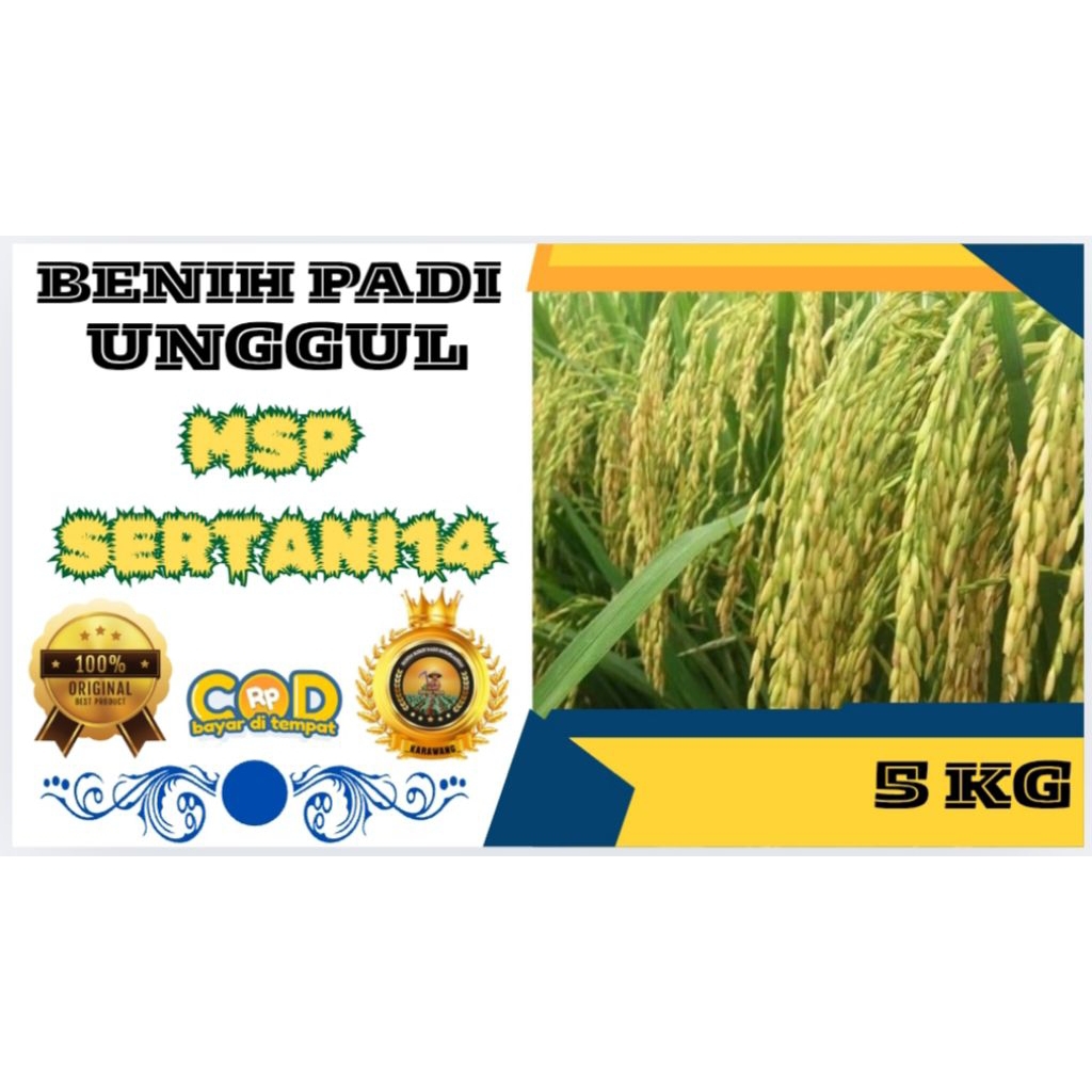 BENIH PADI UNGGUL MSP SERTANI 14 BERKUALITAS KEMASAN 5KG