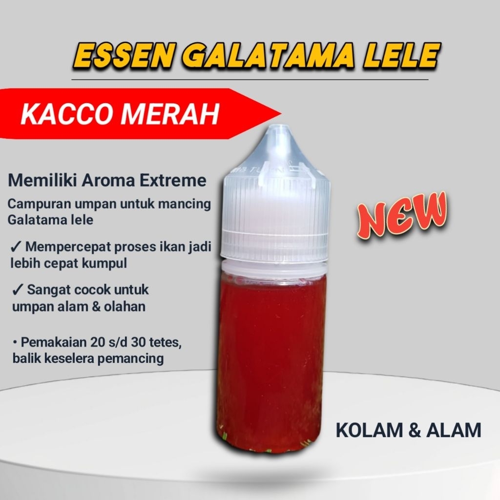 Essen Lomba Galatama Lele, Media Cepat Pengumpul Ikan