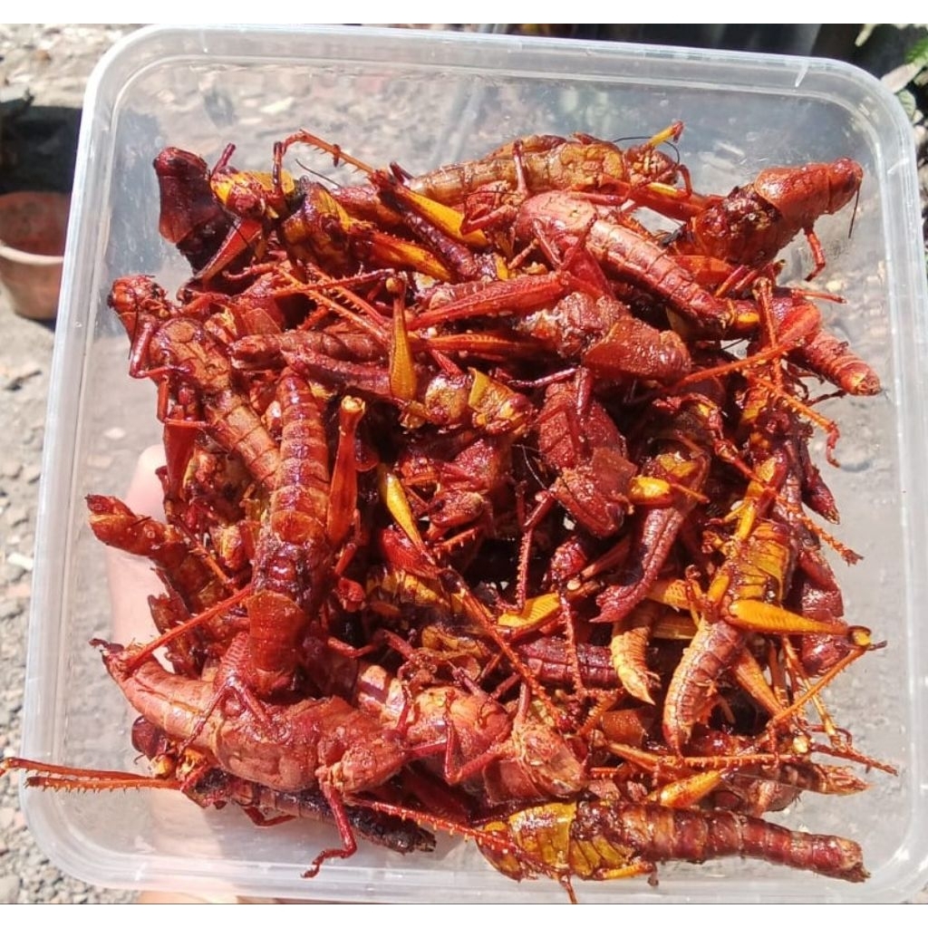 

belalangkayu200grm